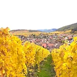 Adrihof A Riquewihr, Cour De L'abbaye D'autrey 3* リクヴィール