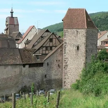 住宿加早餐酒店 Adrihof A Riquewihr, Cour De L'abbaye D'autrey 利克维