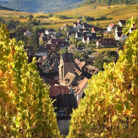 Adrihof A Riquewihr, Cour De L'abbaye D'autrey * Riquewihr