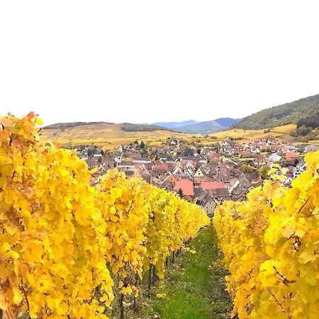 Adrihof A Riquewihr, Cour De L'abbaye D'autrey * 利克维