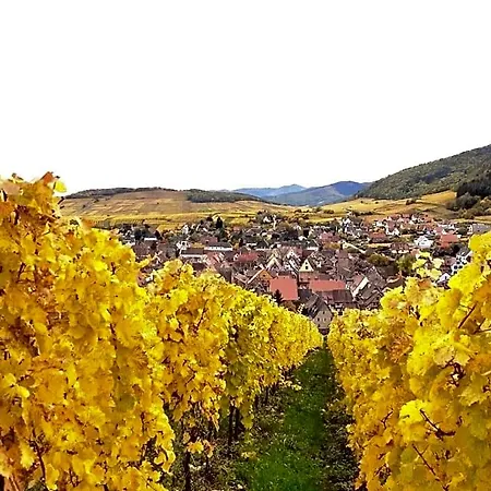 Panzió Adrihof A Riquewihr, Cour De L'abbaye D'autrey 3*