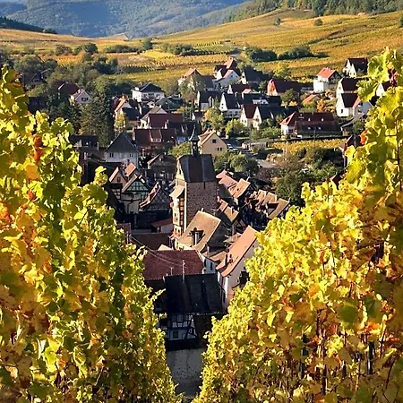 Adrihof A Riquewihr, Cour De L'abbaye D'autrey Riquewihr