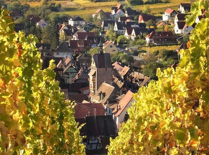 Adrihof A Riquewihr, Cour De L'abbaye D'autrey 3* リクヴィール