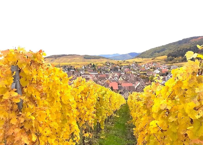 Adrihof A Riquewihr, Cour De L'abbaye D'autrey 3* リクヴィール